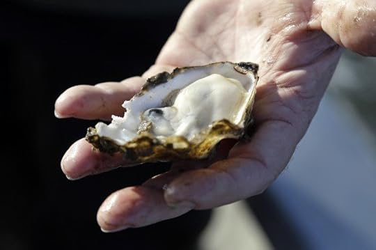 Washington Oysters Pesticide