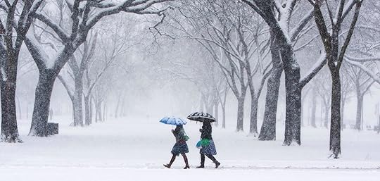 Image result for winter