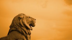 How can we all find ways to be courageous?