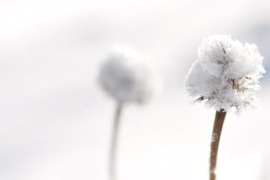 CSC_0566