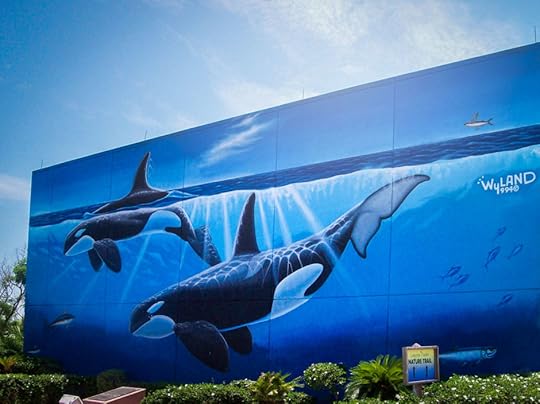 South Padre Island orca whales mural