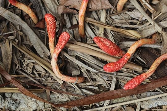Red-tipped wormy plant creatures