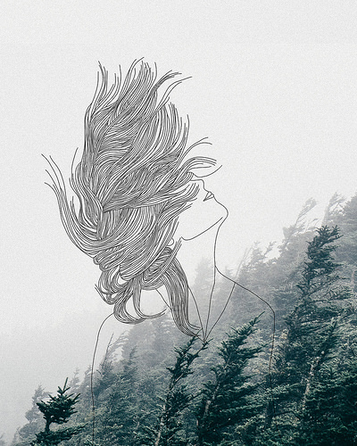 #atwildwoman art by Amanda Sandlin. Read our interview with her!