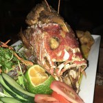 Snapper mouth