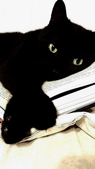 Image result for books and cats anime