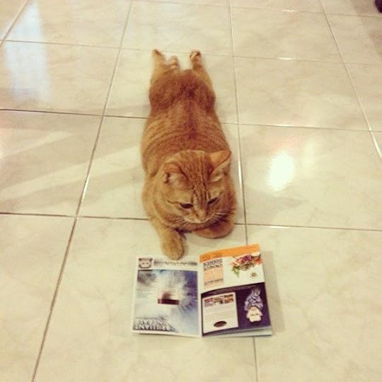 Image result for books and cats anime