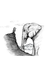 the bird and elephant hand drawing, philosophy for children book.