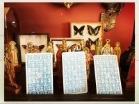 Your free Tarot Card Reading – A message from your wise one.