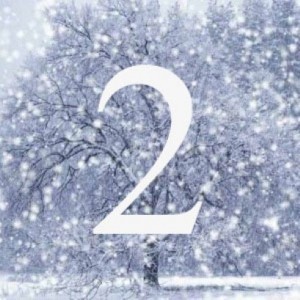 day 2 advent calendar