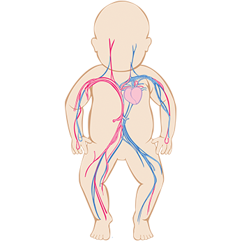 baby body graphic