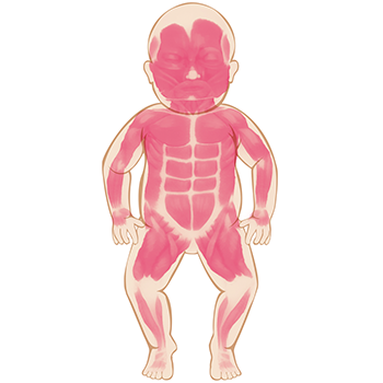 baby body graphic