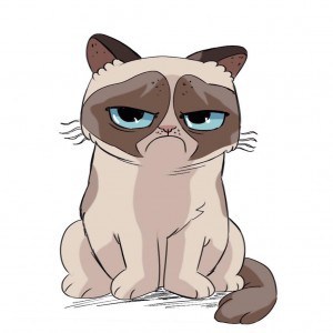 Image result for comic cat