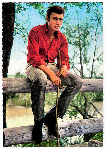 Johnny Hallyday (1943-2017)