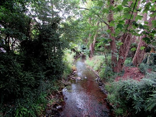 Cadoxton River