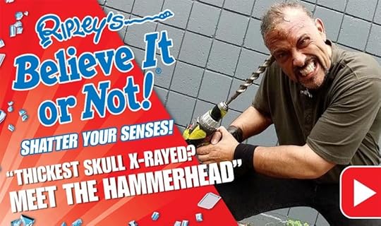 hammerhead