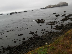 shoreline crescent city enhanced photo