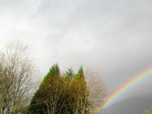 rainbow walkers