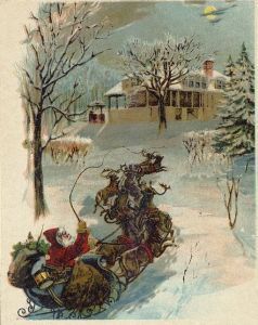reindeer
