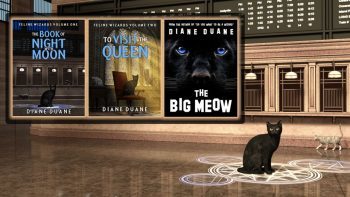 Feline Wizardry covers