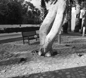 20171209_145146_001