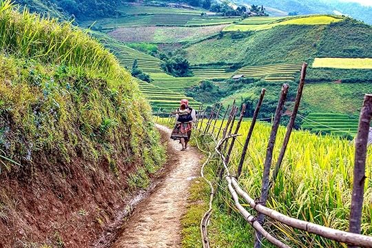 Vietnam countryside