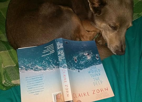 One Would Think the Deep by Claire Zorn