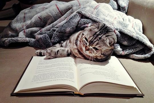 Image result for books and cats
