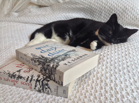 Image result for books and cats