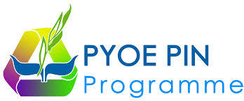 Pyoe Pin logo
