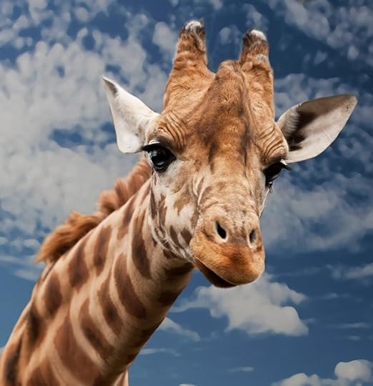 I can never find those guys!