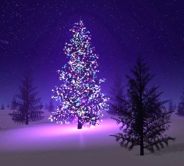 beautiful-christmas-tree