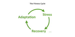 Fitness Cycle