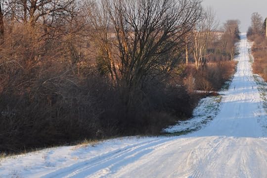 CSC_1692