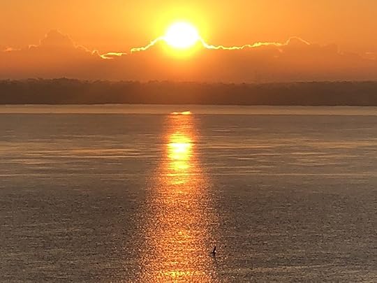 Morning has Woken