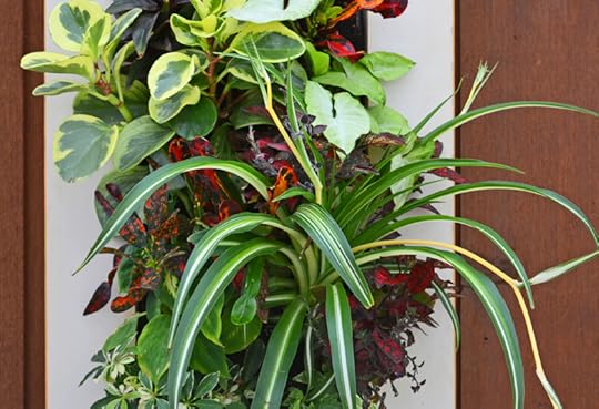 Home Office Living Wall Garden Growing