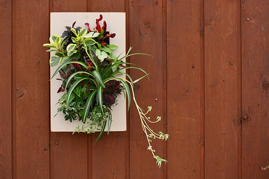 Home Office Living Wall with Houseplants