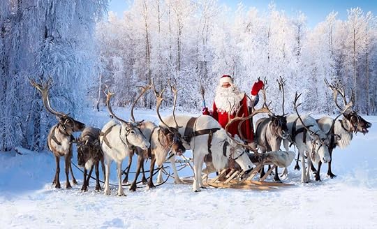 female reindeer