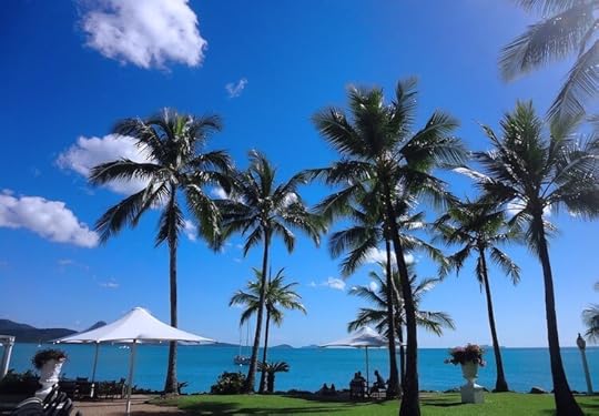 9 Fun Things to do in Hamilton Island, Australia, Survive Travel, Hamilton Island Things to do, Hamilton Island Australia, Hamilton Island Photography, Hamilton Island Activities, Airley Beach