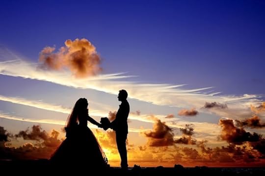 10 Fun Things to do in Hamilton Island, Australia, Survive Travel, Hamilton Island Things to do, Hamilton Island Australia, Hamilton Island Photography, Hamilton Island Activities, Wedding