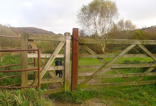 Waiting for the new year to begin