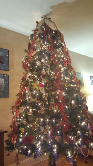 tree.jpg
