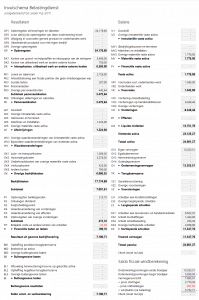 Invulschema aangifte inkomstenbelasting - Boekhouden in Excel 5.0