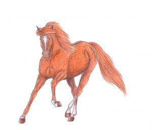 Az őrzők tüze szereplői