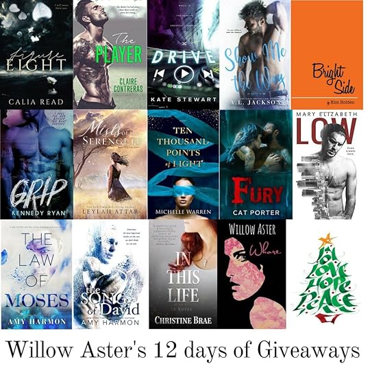 12 days of giveaway-2.jpg
