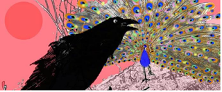 This image is of Short Story from India