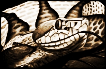  photo bab08f38-3e60-4920-9fbd-2f2f01381964_zps8jheeilq.jpg