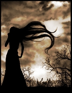  photo 64d757d0-449a-4d8a-9613-8befd702204c_zpsf9vqkee5.jpg