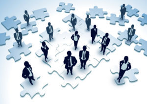 organizational design