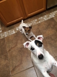 Disney and Riley.jpg