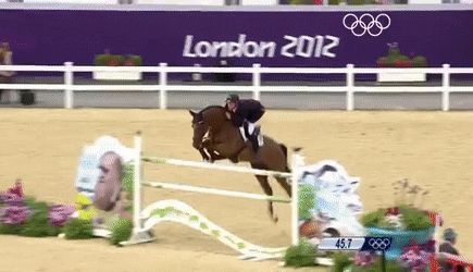 show jumper gif